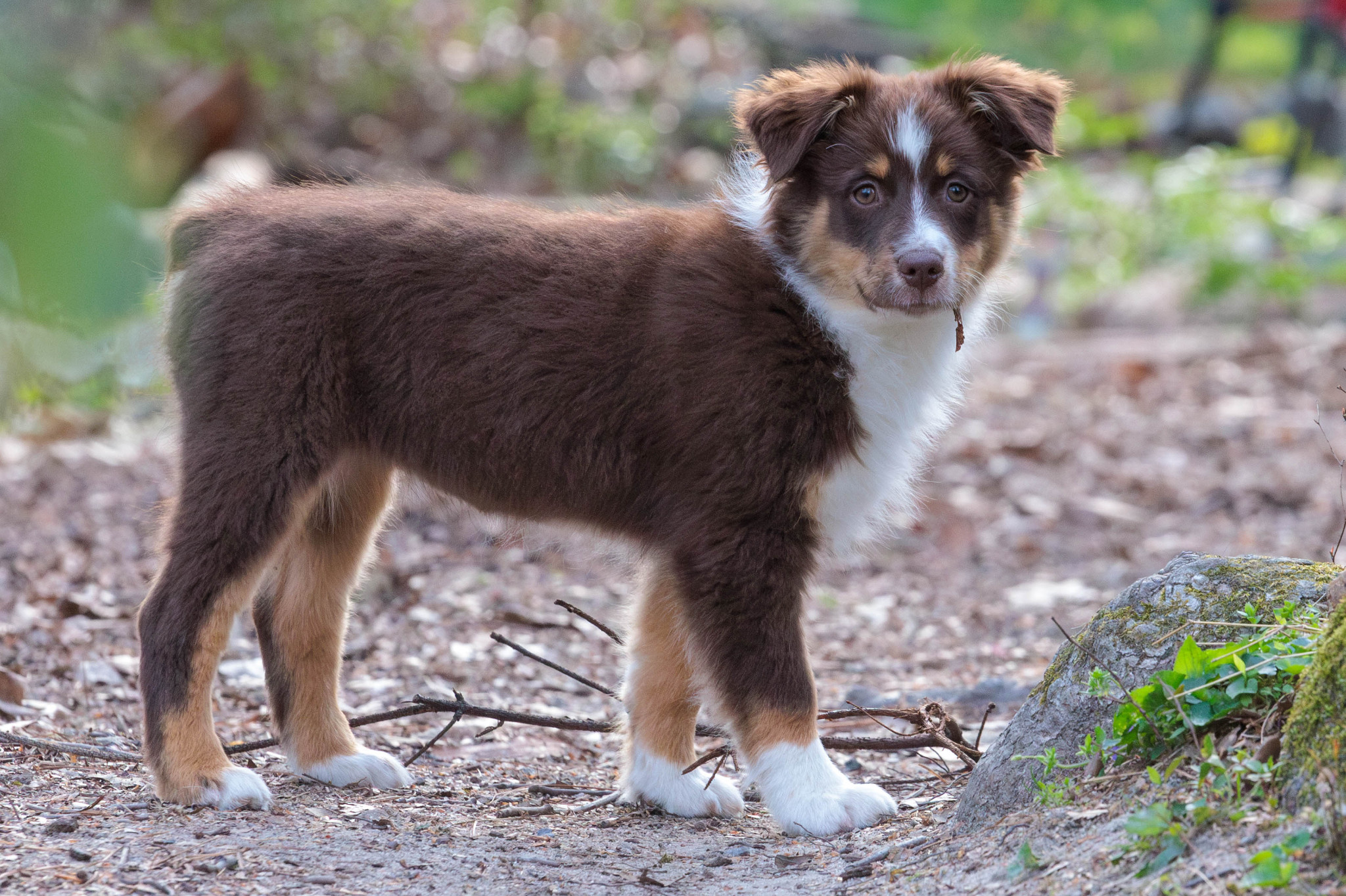 IMG 7308 Enhanced NR