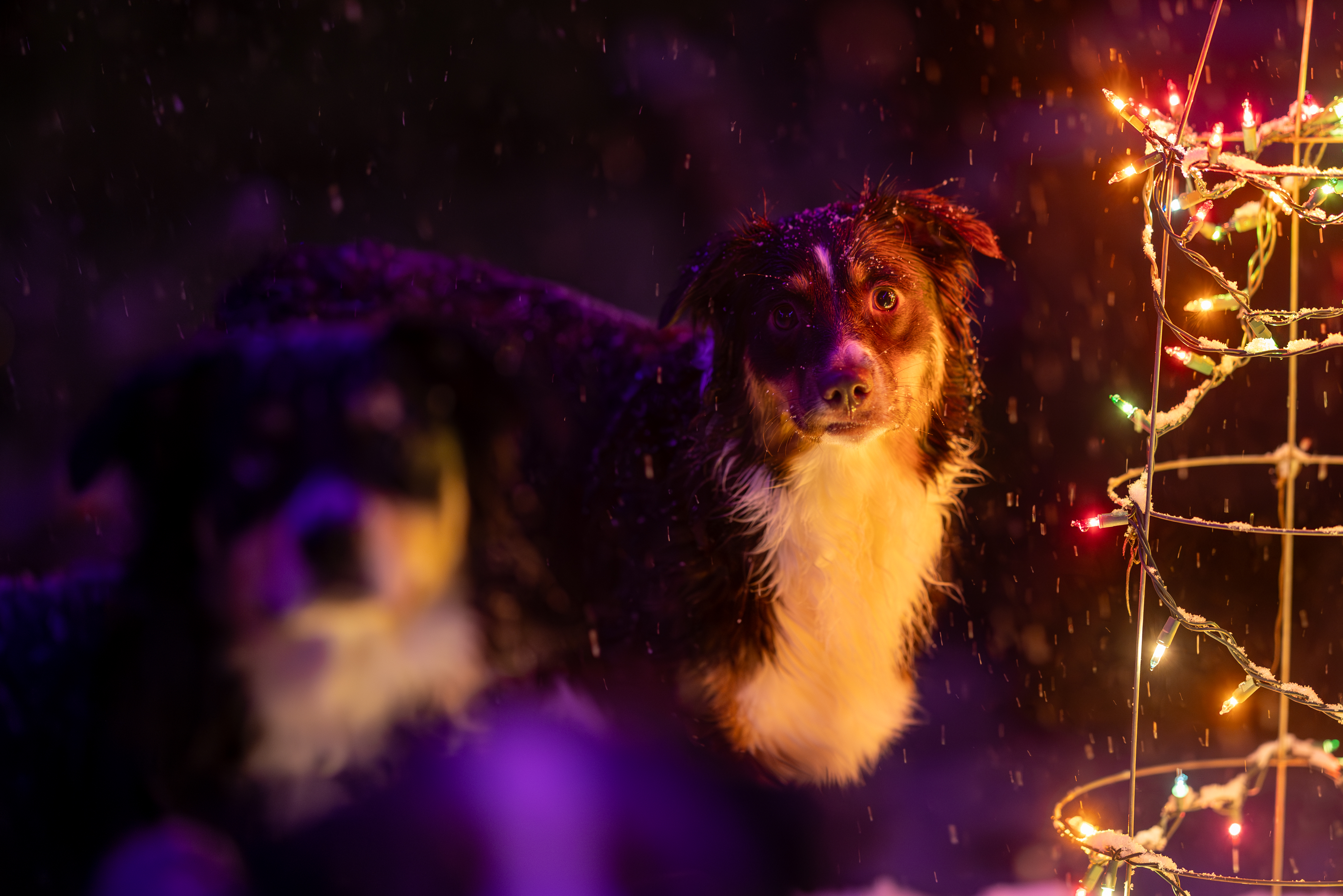 IV6A1962 Enhanced NR