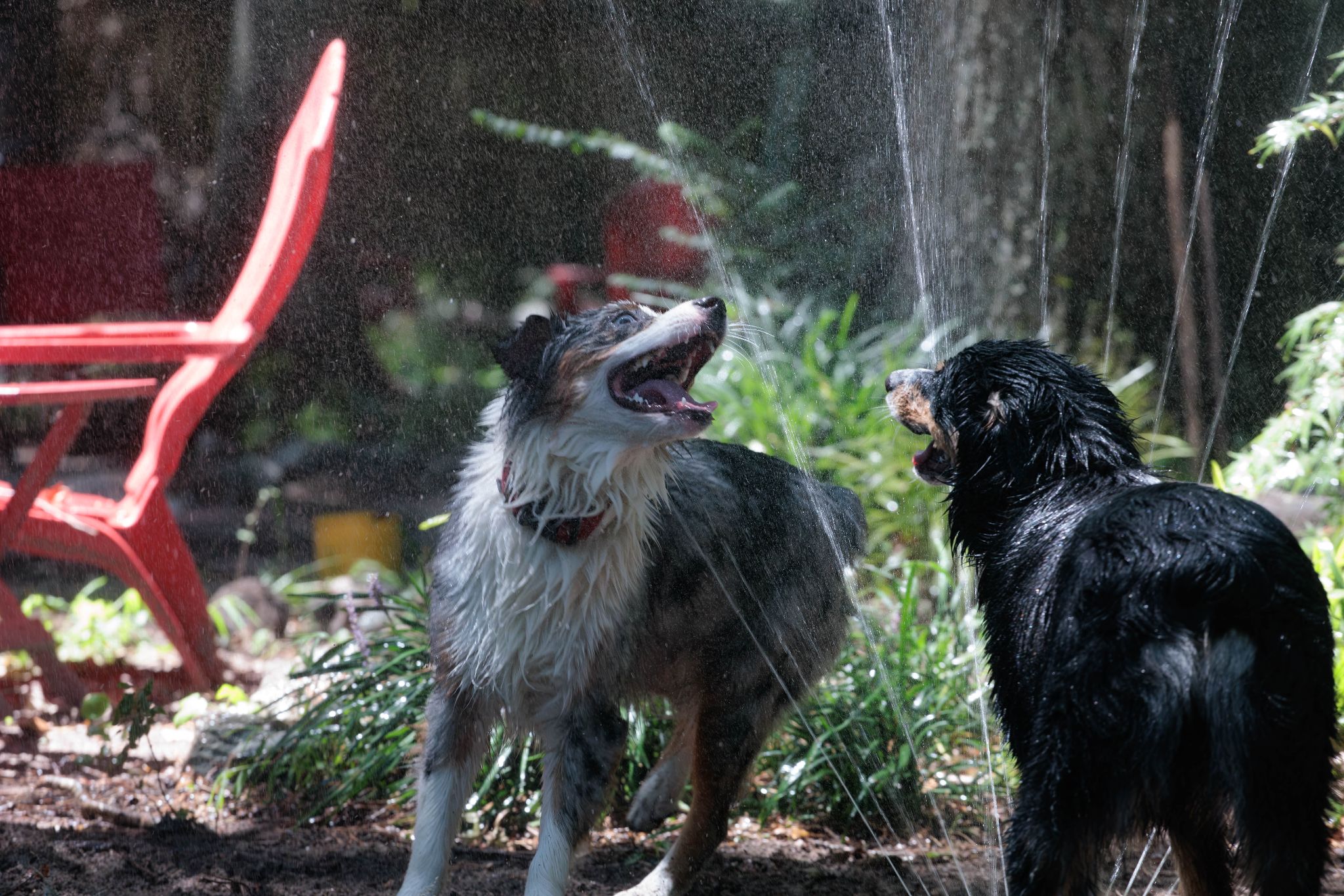 IMG 5183 Enhanced NR