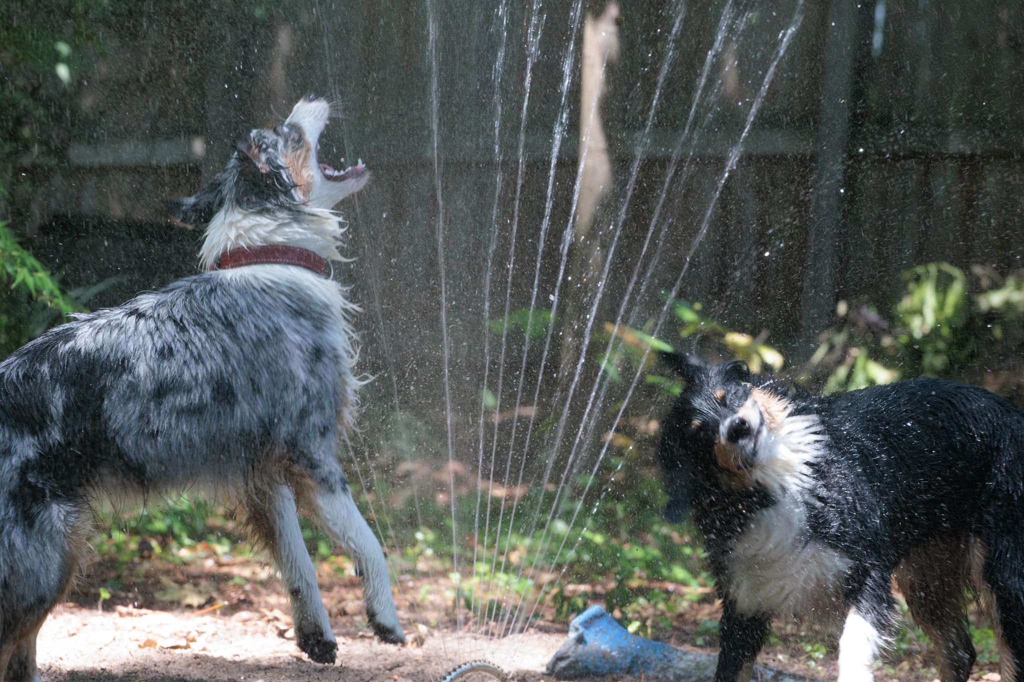 IMG 5210 Enhanced NR