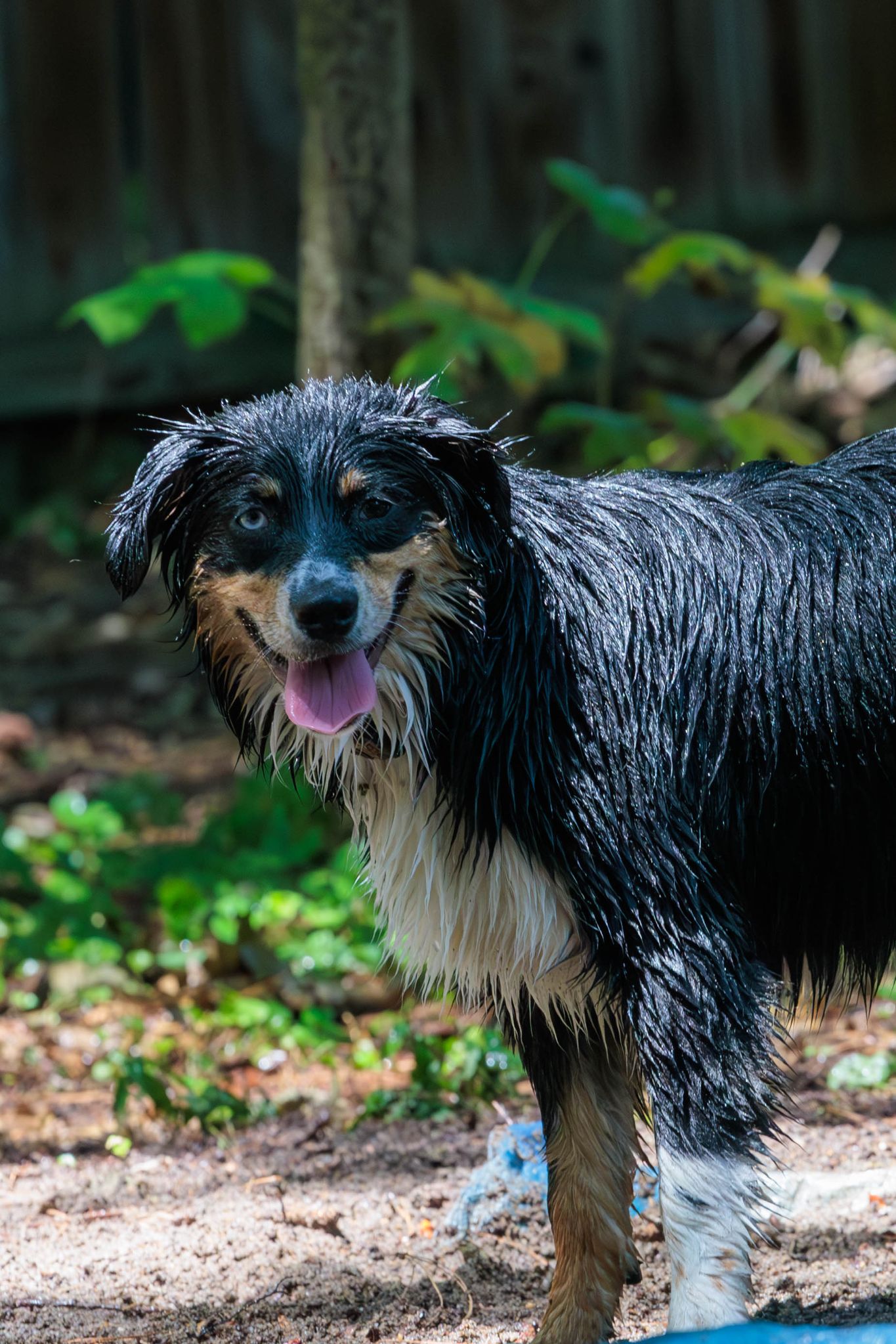 IMG 5254 Enhanced NR