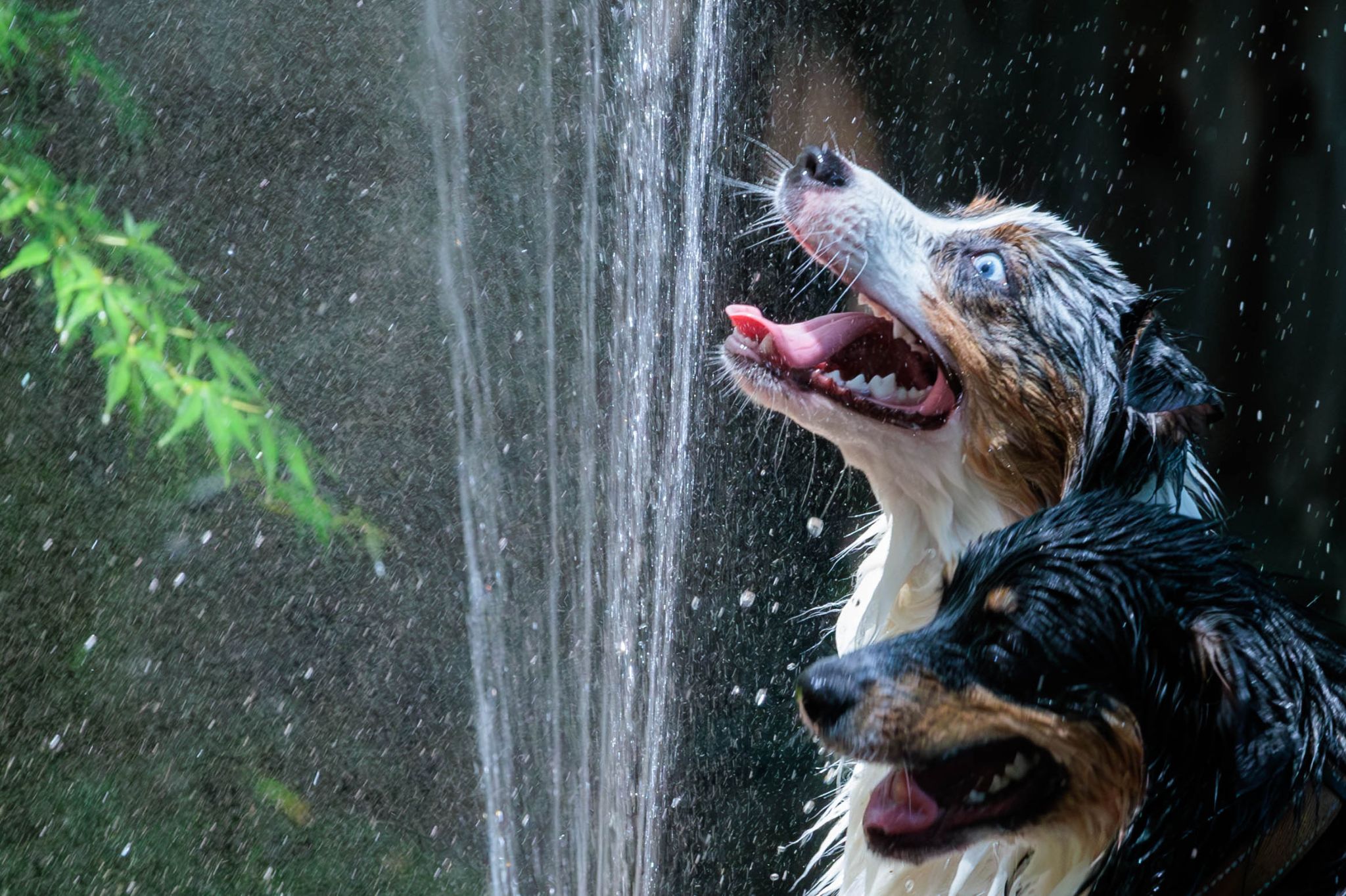 IMG 5262 Enhanced NR