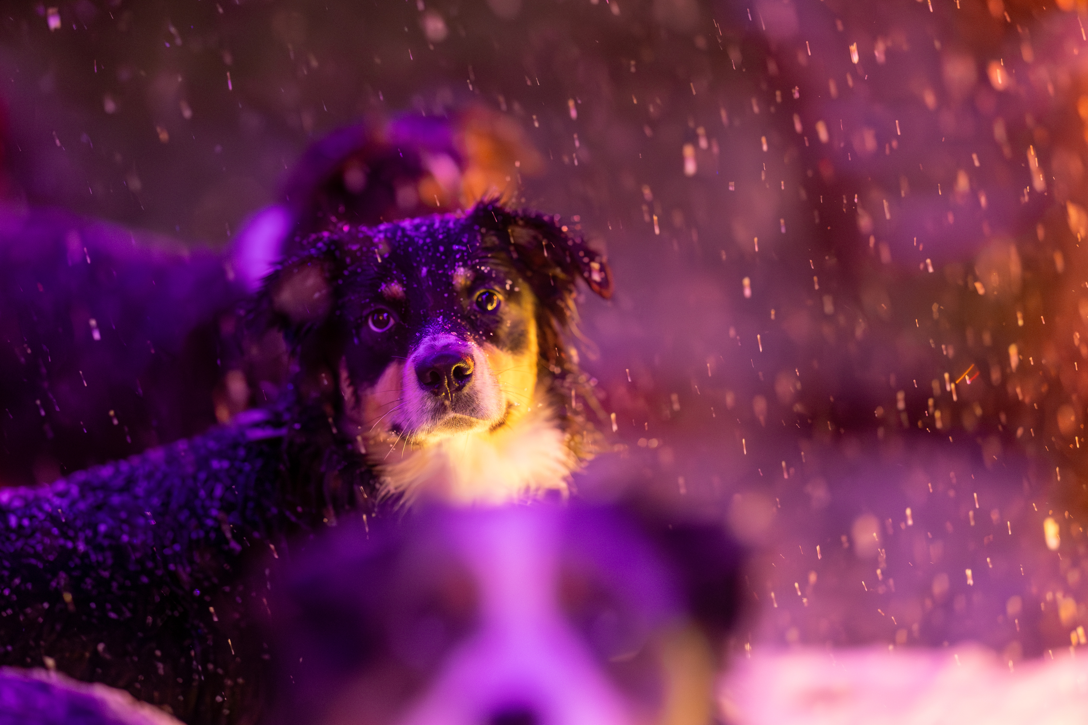 IV6A1959 Enhanced NR