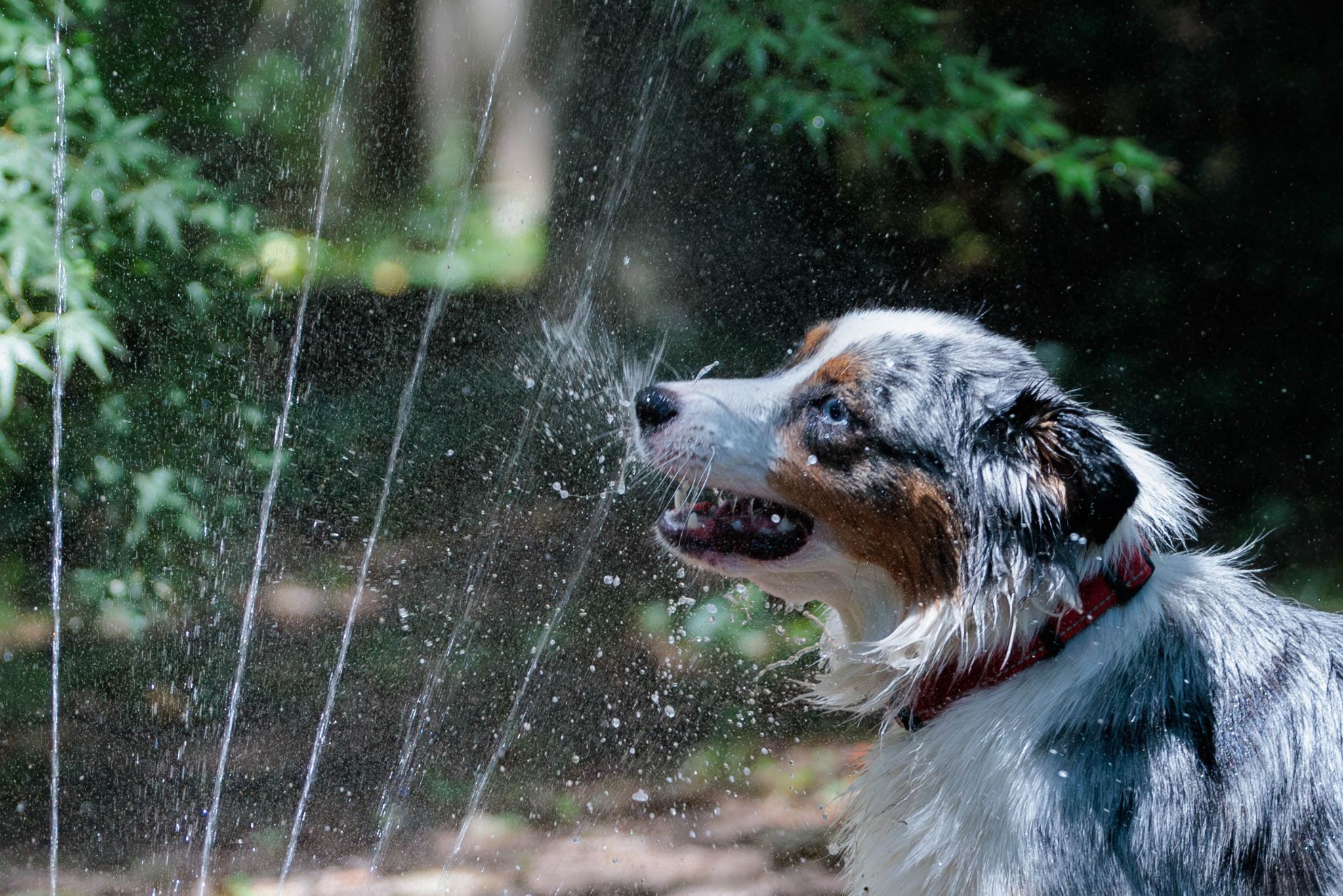 IMG 5151 Enhanced NR