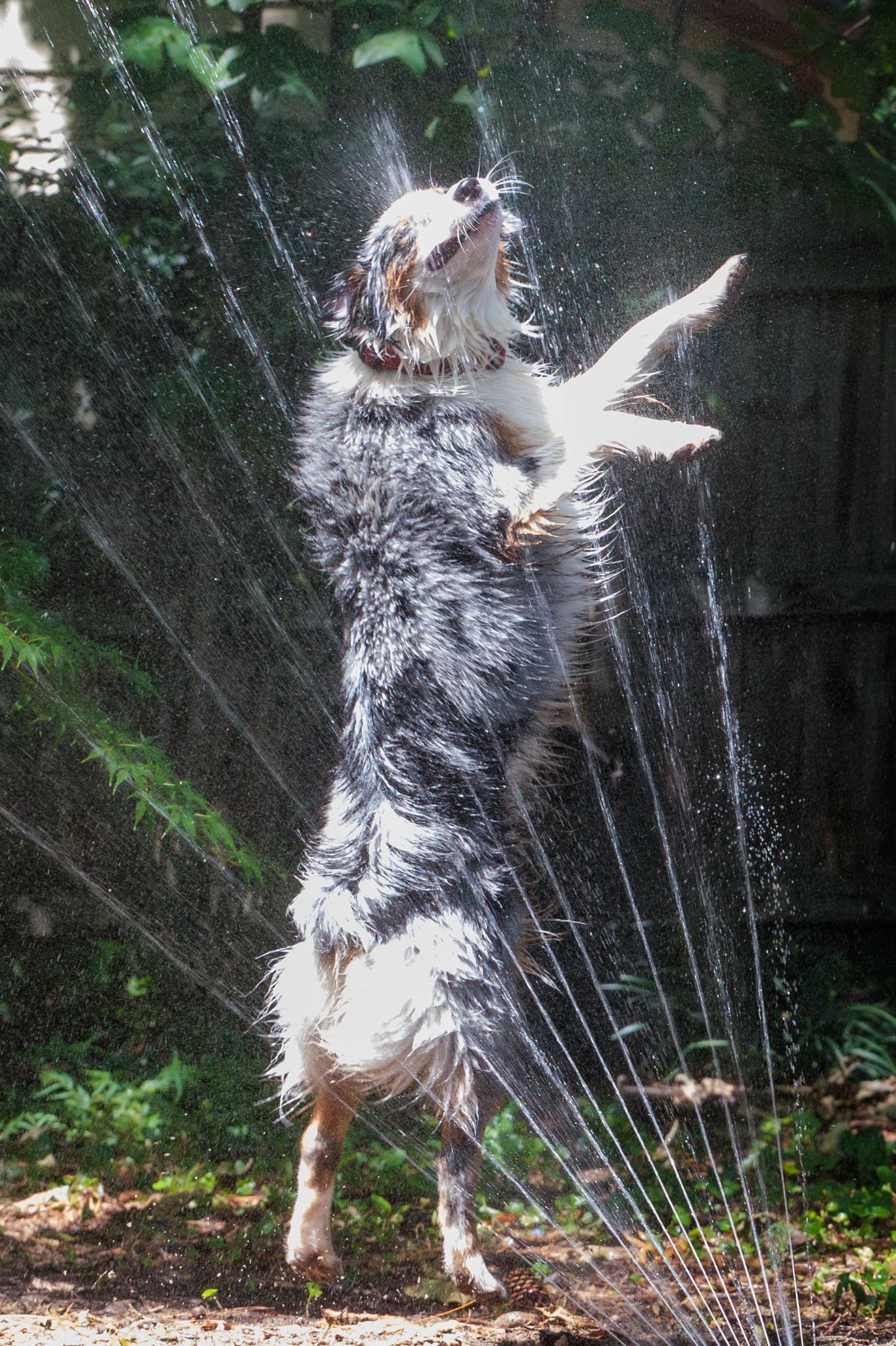 IMG 5220 Enhanced NR