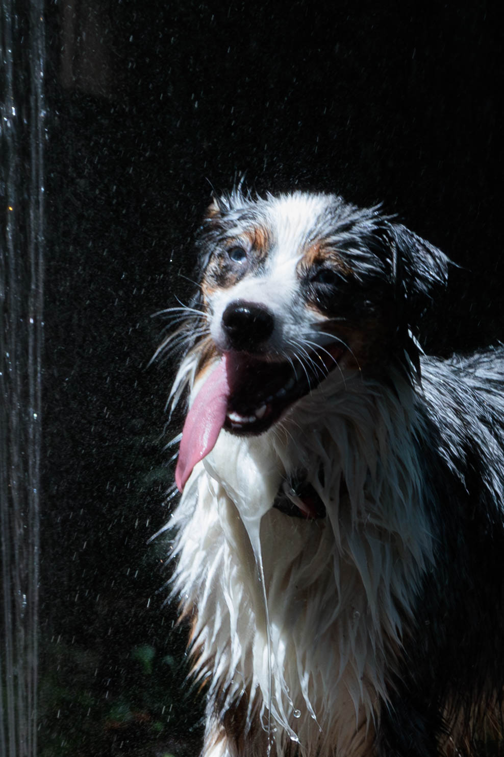 IMG 5251 Enhanced NR