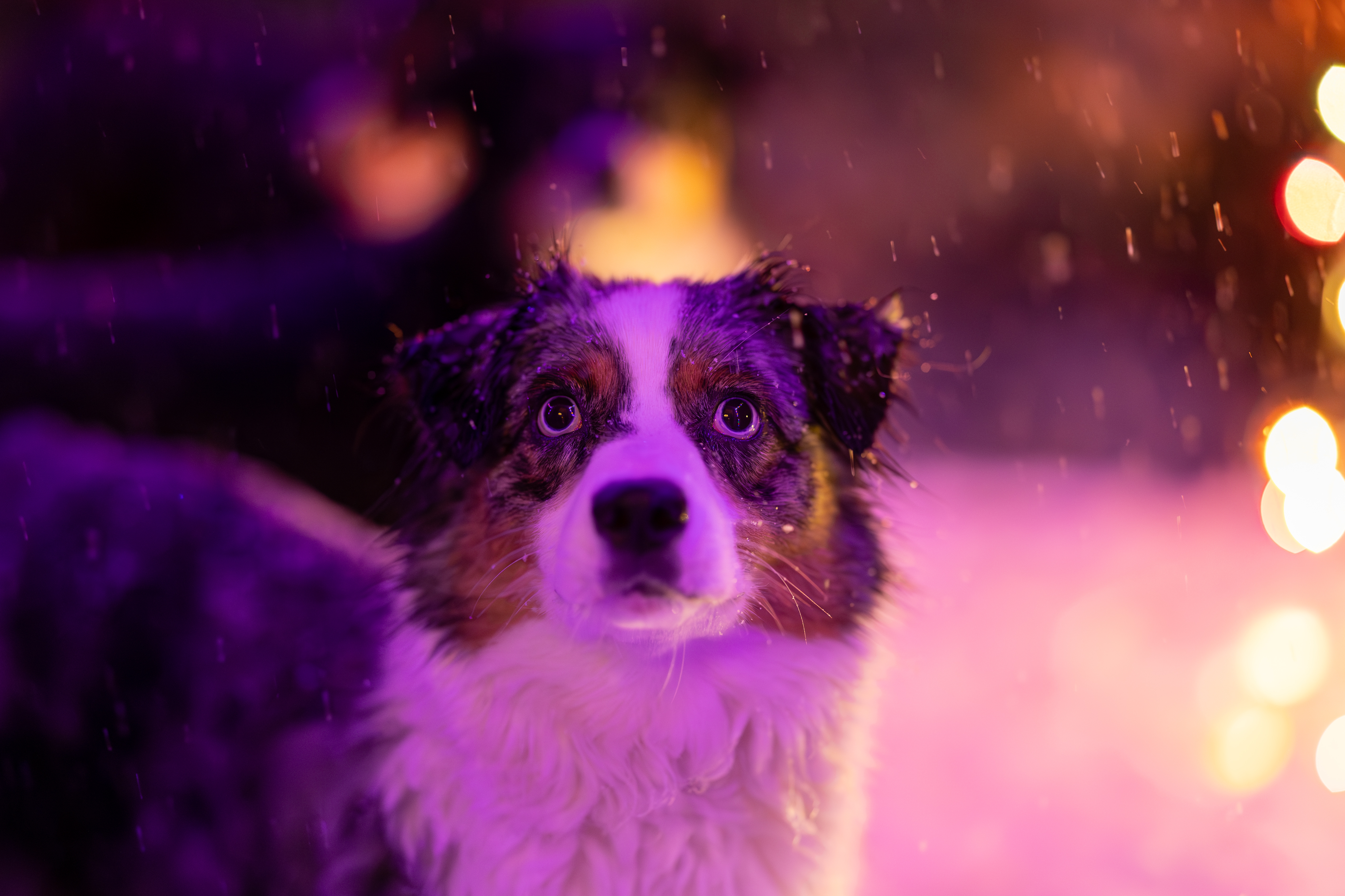 IV6A1956 Enhanced NR