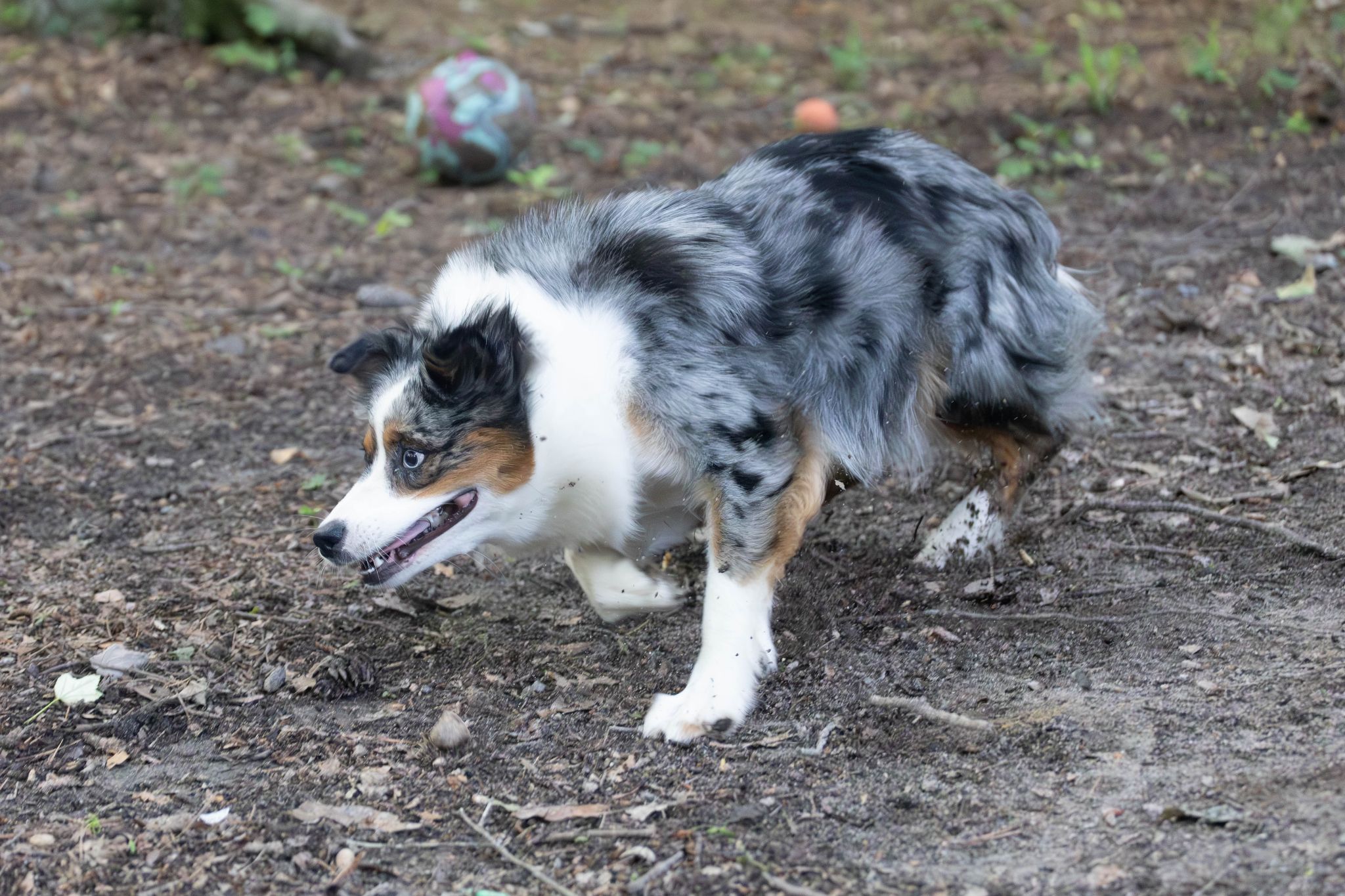 IV6A8057 Enhanced NR