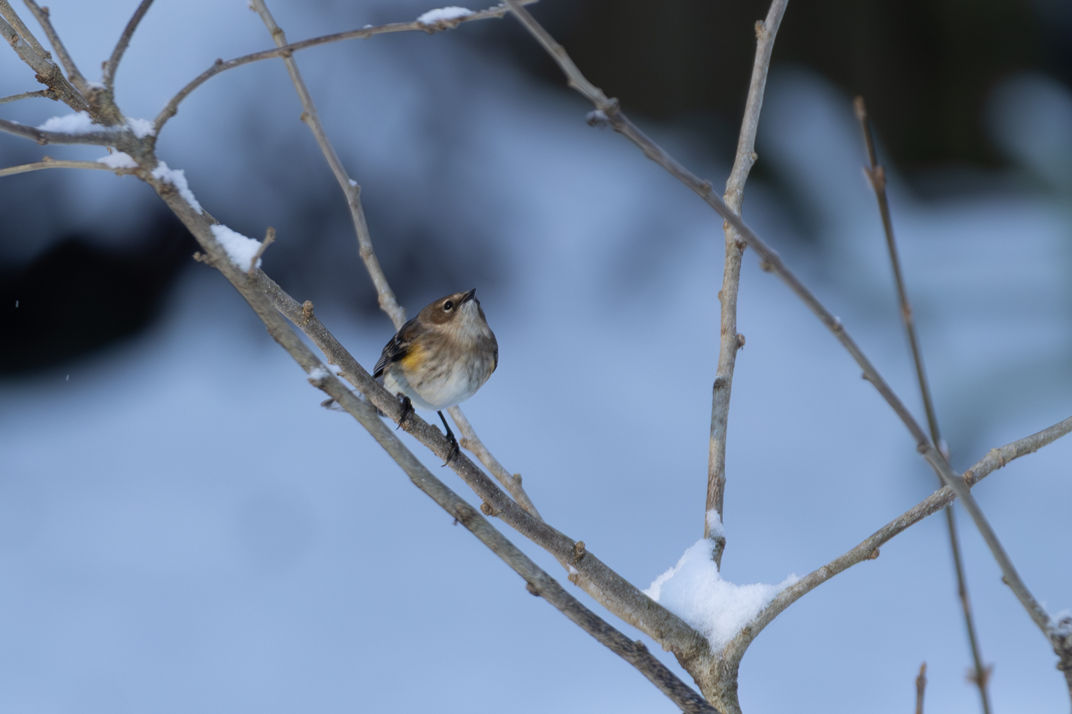 IV6A2107 Enhanced NR