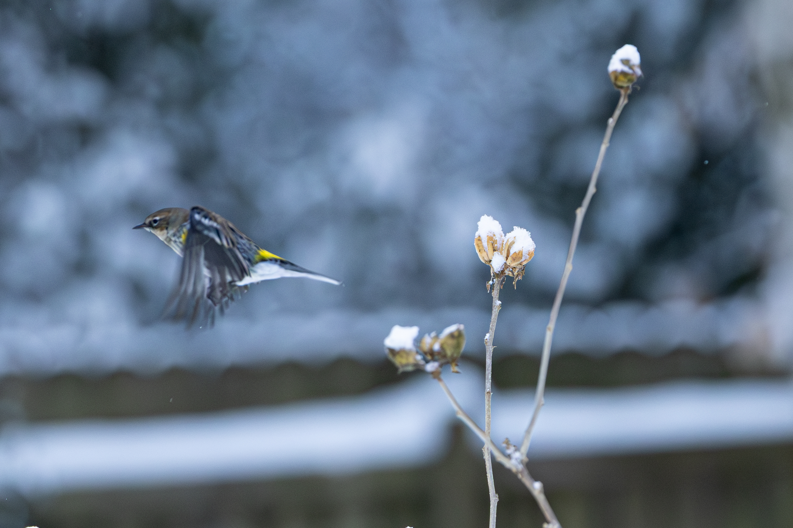 IV6A2120 Enhanced NR